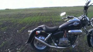 honda magna 50 (1995 г.)