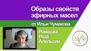 О свойствах эфирных масел на примере образов растений. Отрывок вебинара ароматерапевта Ильи Чумакова