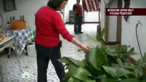 'Говорим и показываем' 'Испанские дочки ищут русских родителей'