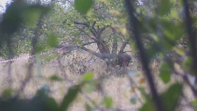 Закрытие Сезона СК ЮФО 2017 страйкбол смотреть онлайн