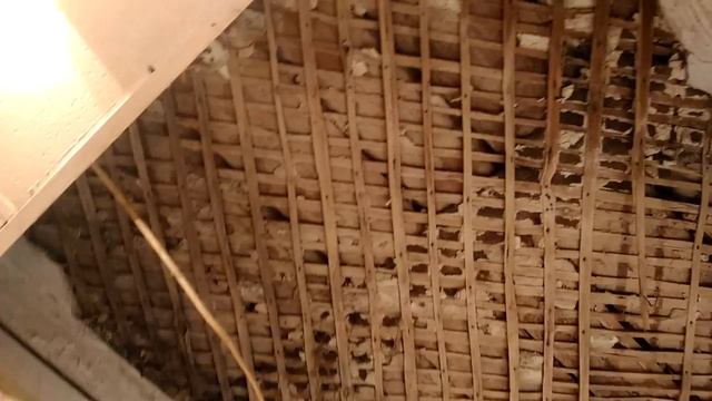 Мой дом - не моя крепость! смотреть онлайн