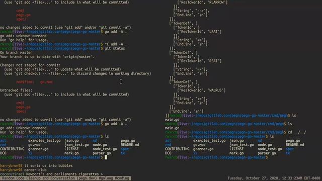 Random Code Cleanup and Conversation (pegn.dev) #golang #pegn #coding #livestream смотреть онлайн