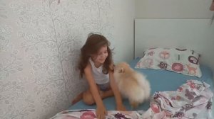 Реакция ребенка на подарок щенка Шпица