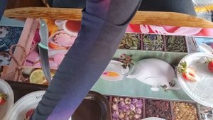 Топ крупноплодной клубники для Сибири! ч. 1 (Ранние сорта)