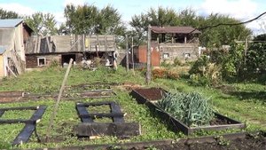 Как без усилий отмыть руки от гудрона\Домашнее Хозяйство