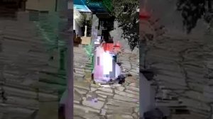 Саида с ягдыга.