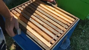 Сколько МЁДА оставлять в пчёлам в зиму на каких медовых рамках акцентировать внимание это важно ✅☝️