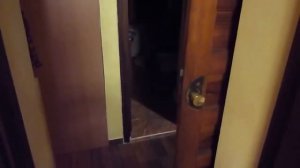Dog and cat mating | Little funny dog mating poor cat | Animal mating