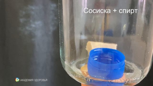 Спустя 30 дней НЕОЖИДАННЫЙ результат. Длительное хранение продуктов. Как побороть плесень смотреть онлайн