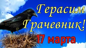 17 марта народный праздник Герасим Грачевник . Традиции и приметы. ЧТО НЕЛЬЗЯ ДЕЛАТЬ