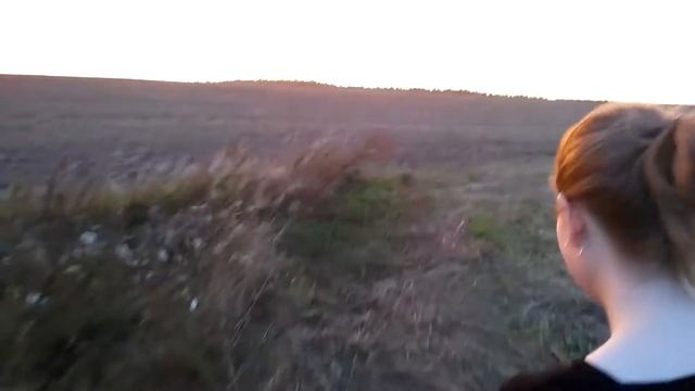 Охота за грибами (сорь за звук сильный ветер) смотреть онлайн