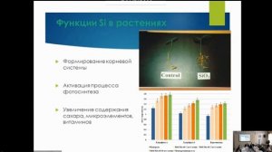 Кремниевые удобрения и добавки  -  лекция -   Матыченков В В
