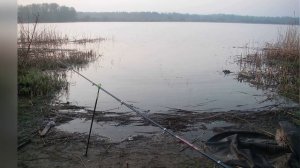 ?Невероятно мощное тесто для карася! №1