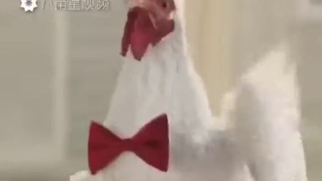 Хохма(7) смотреть онлайн