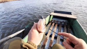 На что клюет СУДАК РАННЕЙ ВЕСНОЙ или Ловля СУДАКА на ДЖИГ