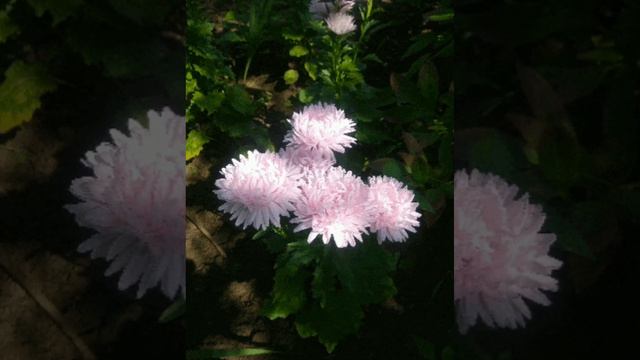 Зачем и о чем говорить... смотреть онлайн