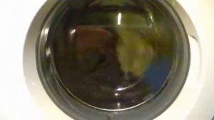 Samsung wf9700n3w colorati sintetici 1/6