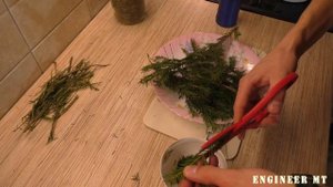 Отвар из хвои