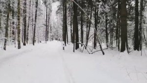 стрельба на 100 метров КО ВССЛ 366ТКМ