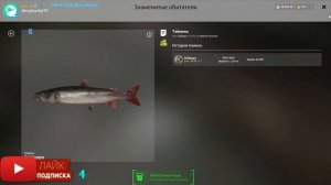 РУССКАЯ РЫБАЛКА 4.АХТУБА. САЗАН НА ПЕЛЕТС И БОЙЛЫ. В ПОИСКАХ РЕДКОГО ТРОФЕЯ. ПРОВЕРКА КЛЕВА. ОБЩЕНИ