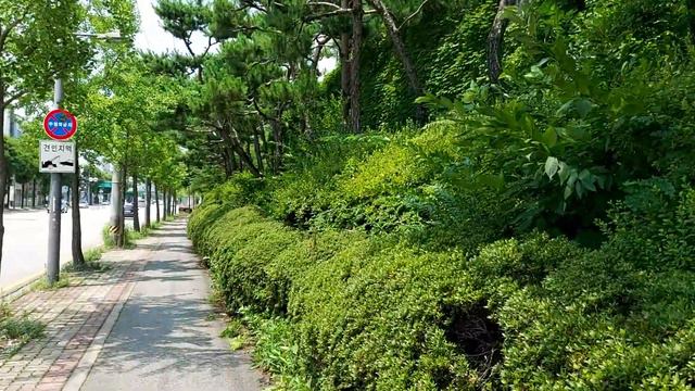 лето круглый год везде чисто и ухожено смотреть онлайн