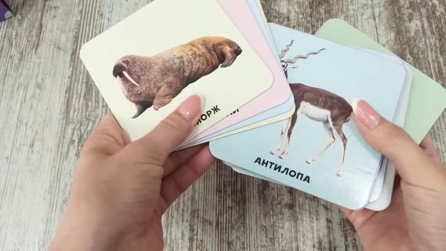 УМНЫЙ ЧЕМОДАНЧИК (35 двухсторонних обучающих карточек). В МИРЕ ЖИВОТНЫХ