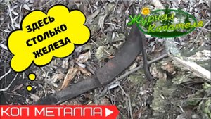В ЭТОМ САДУ ДОБРОТНЫЙ МЕТАЛЛ ЛЕЖИТ ПОЧТИ ПОД КАЖДЫМ ДЕРЕВОМ! Коп металлолома