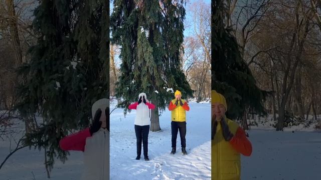 Это упражнение раскрывает грудной отдел, открывает сердце и укрепляет позвоночник #центрзож #йога