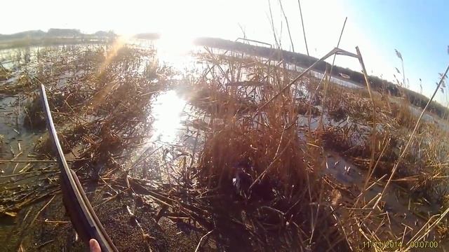 Суперская охота на селезня,весна 2017!! смотреть онлайн