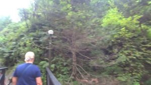Алтай 2021 Телецкое база Горное озеро Поход в лес к Водопаду