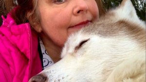 О душах умерших животных Школа ПСИ 649