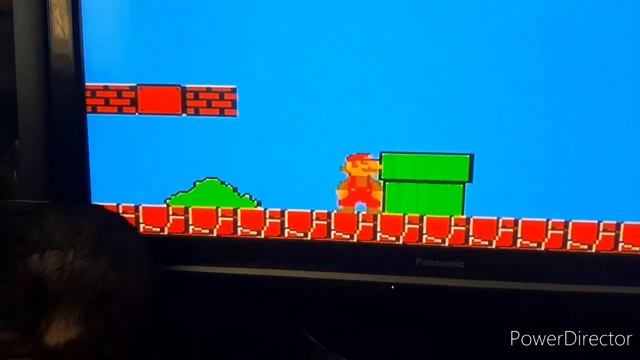 Dandy и Sega/ДЕНДИ И СЕГА 2 В ОДНОЙ/ОБЗОР HAMMY 4/ НАЗАД В 90-Е #ДЕНДИ#СЕГА#ПРИСТАВКА смотреть онлайн