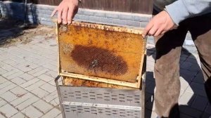 Устройство паровой, электрической воскотопки