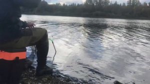 ОСЕННЯЯ РЫБАЛКА на белую рыбу. Рыбалка на фидер. ПЛОТВА И ПОДЛЕЩИК осенью. Рыбалка 2022.