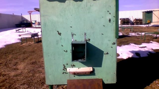 Пчёлы. Пасека в ленинградской области 2019 смотреть онлайн