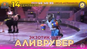 Аливрувер в Астраханском цирке с 14 сентября