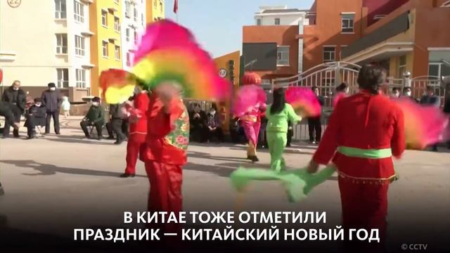 ОТ КРЫСЫ — К БЫКУ