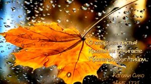 Хокку часть 2 Составитель Лариса Белоусова