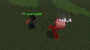 комблю челов в майнкрафте. боксинг флики [2]