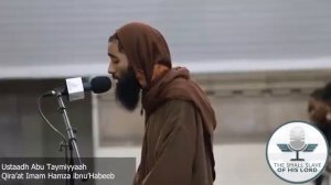 Абу Таймия — 53:32-43 (кираат имама Хамзы)