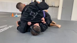 Bjj purple belt sparring