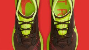 BROWN/VOLT Nike Pegasus Trail 3 GORE-TEX Detailed Look and Release Update