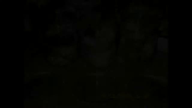 Домашние консервы "ПЕЛЕНГАС" смотреть онлайн