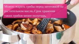 Как хранить сушеные грибы – 6 подробных инструкций