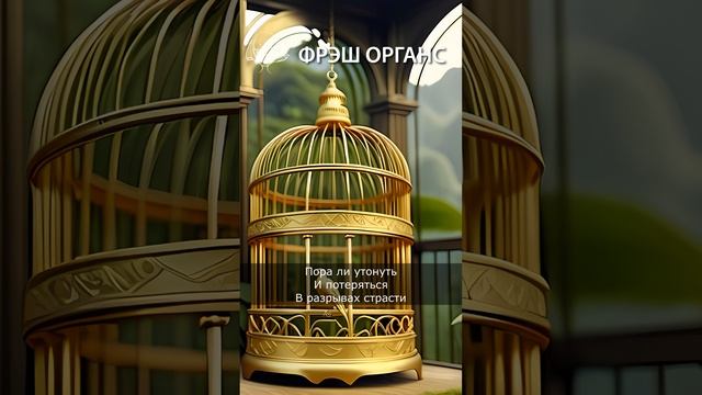 Фрэш Органс: Клетка. Стихотворение.  #стихи #философскиестихи