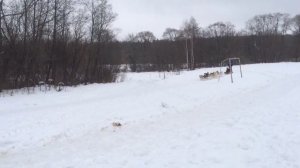 Зимний отдых в Country Resort (Вербилки) ?