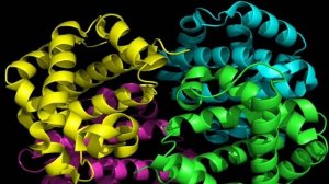 Клетка ее строение, состав, жизненные свойства