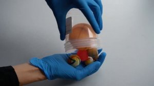 Что делать – кот или собака проглотила инородный предмет? Эндоскопическое извлечение инородных тел