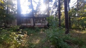 ЗАБРОШЕННЫЕ ЛАГЕРЯ ДУБОВКИ  #заброшки