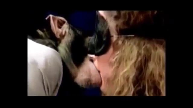 Смердящие вонючие хай-ваны!!! смотреть онлайн